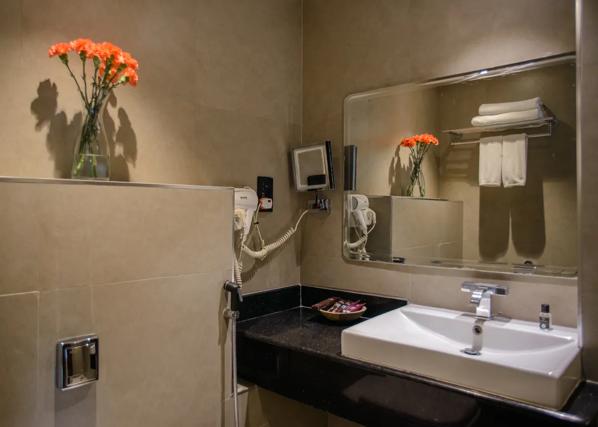 Standard Room bathroom and amenities